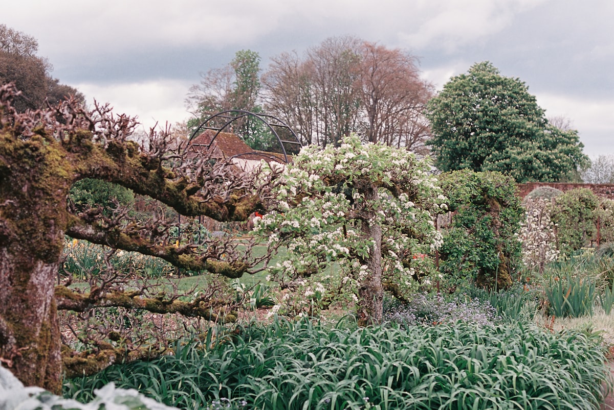 Tourist Resort Garden