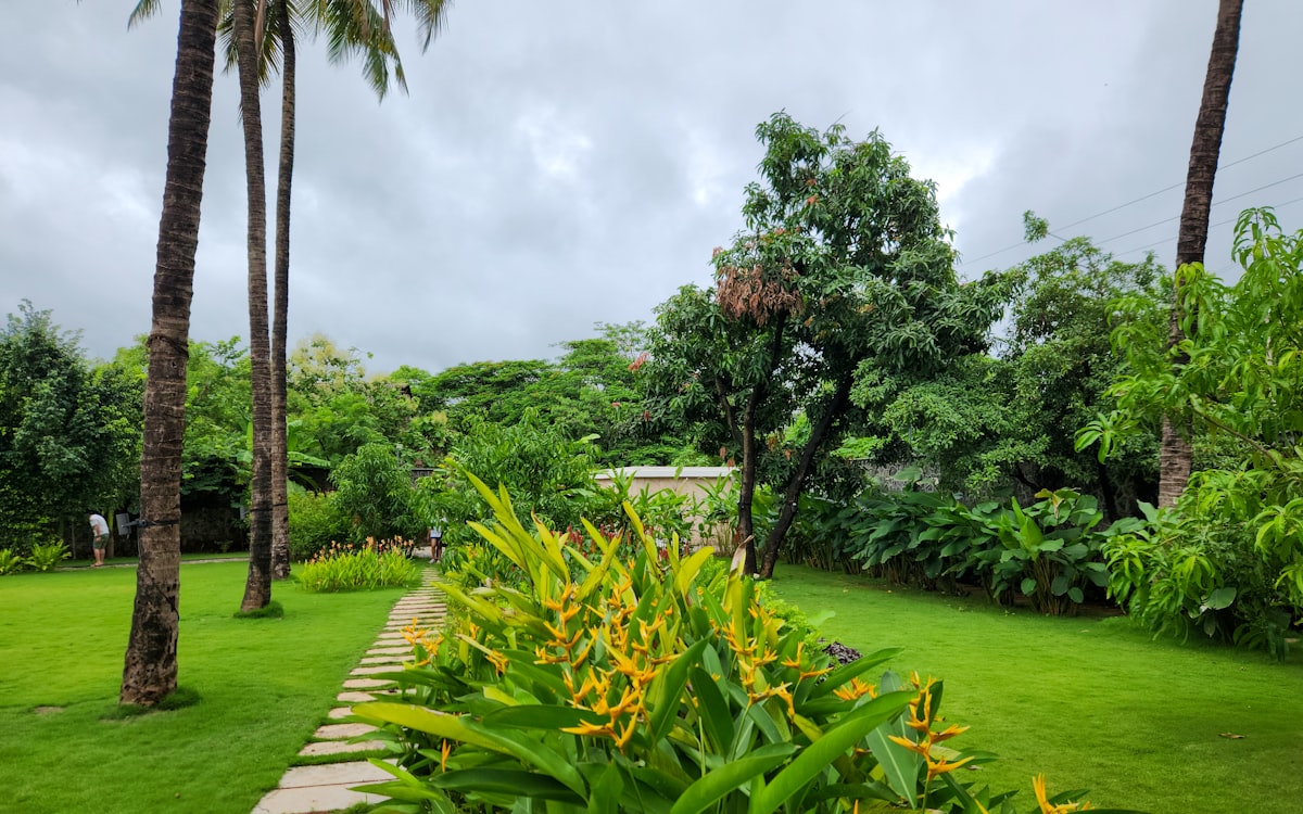Luxury Apartment Garden