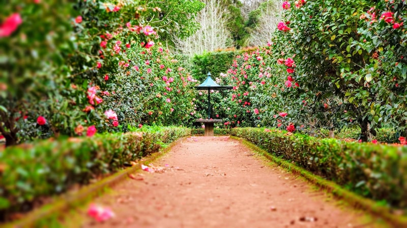 Garden Maintenance
